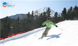 Tour Nhật Bản Hành Trình Vàng Đón Năm Mới 2026